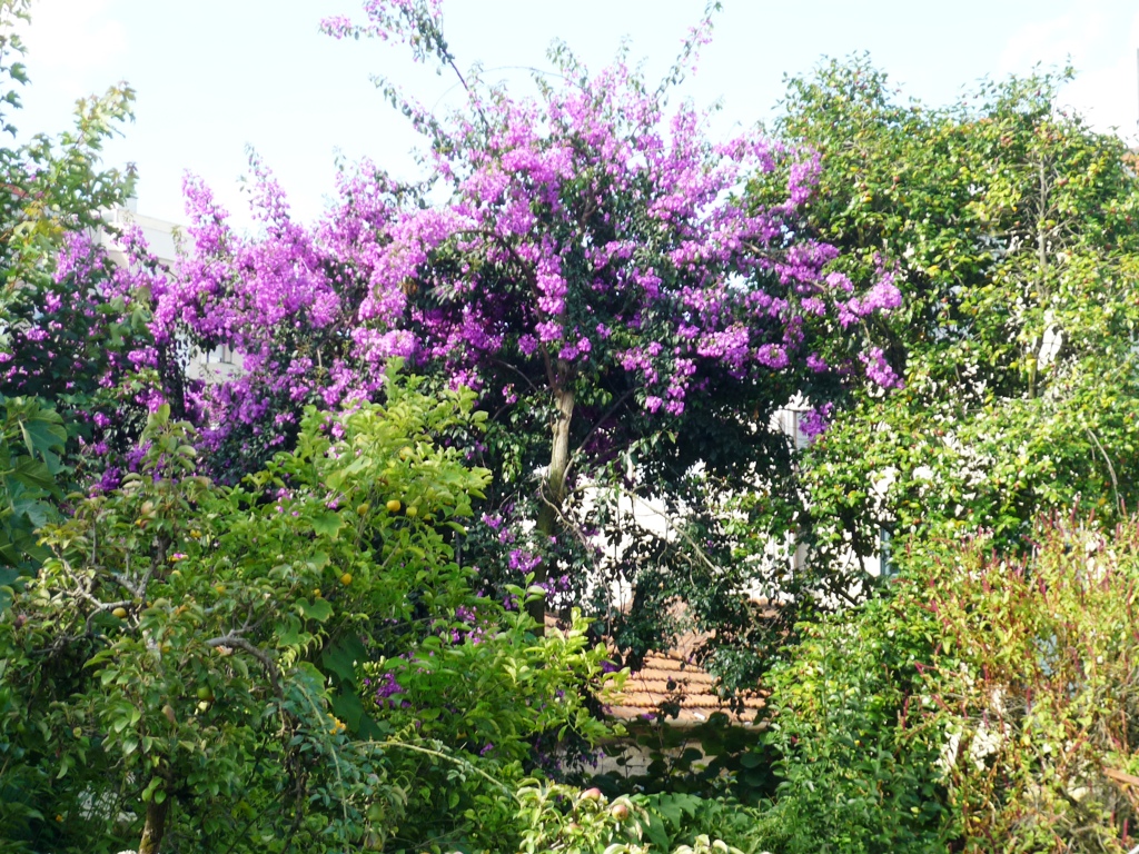 Portugal 2011